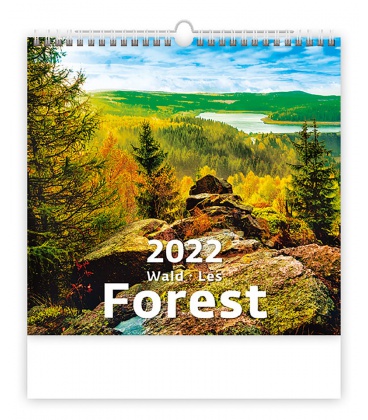 Nástěnný kalendář Forest/Wald/Les 2022