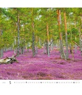 Wall calendar Forest/Wald/Les 2022