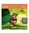 Nástěnný kalendář Dogs 2022