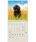 Nástěnný kalendář Dogs 2022