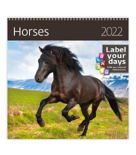 Wall calendar Horses 2022