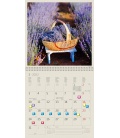 Nástěnný kalendář Provence 2022