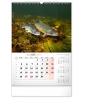Wall calendar Fishing 2022