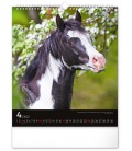 Wall calendar Horses 2022