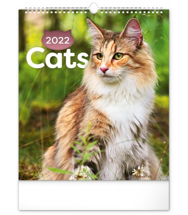 Nástěnný kalendář Kočky 2022