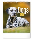 Wandkalender Dogs 2022