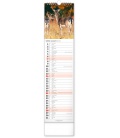 Wall calendar Forest Animals CZ/SK - vázanka  2022