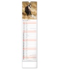 Wall calendar Forest Animals CZ/SK - vázanka  2022