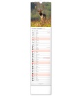 Wall calendar Forest Animals CZ/SK - vázanka  2022