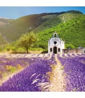 Wall calendar Provence – scented 2022