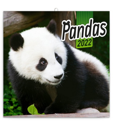 Wall calendar Pandas 2022