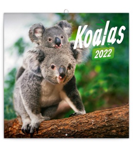 Wall calendar Koalas 2022