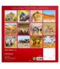 Wall calendar Wild Africa 2022