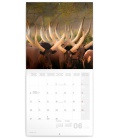 Wall calendar Wild Africa 2022