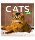 Wall calendar Cats 2022