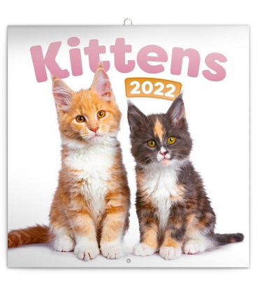 Wandkalender Kittens 2022
