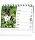 Table calendar Dogs – with dog names 2022