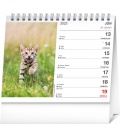 Stolní kalendář Mačky – s menami mačiek 2022