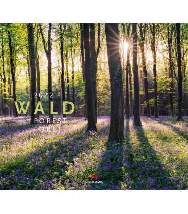 Wall calendar Wald Kalender 2022