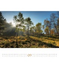 Wall calendar Wald Kalender 2022