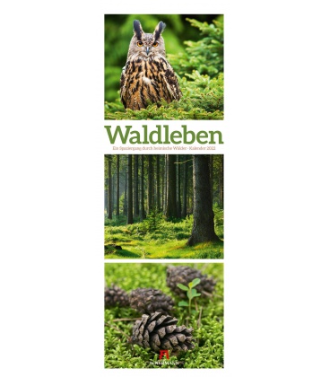Wall calendar Waldleben - Ein Spaziergang durch heimische Wälder, Triplet-Kalender 2022
