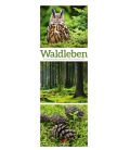 Wandkalender Waldleben - Ein Spaziergang durch heimische Wälder, Triplet-Kalender 2022