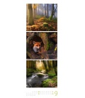 Wandkalender Waldleben - Ein Spaziergang durch heimische Wälder, Triplet-Kalender 2022