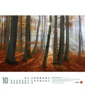 Wall calendar Wildes Deutschland Kalender 2022