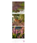 Wall calendar Nature - Triplet-Kalender 2022