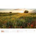 Wall calendar Blumenmeer - Landschaften in voller Blüte, Kalender 2022