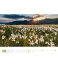 Wall calendar Blumenmeer - Landschaften in voller Blüte, Kalender 2022