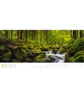 Wall calendar Wilde Wälder Kalender 2022