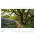 Wall calendar Harmonie Kalender 2022