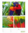 Wall calendar Farben der Natur - Wochenplaner Kalender 2022