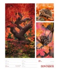 Wall calendar Farben der Natur - Wochenplaner Kalender 2022