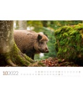 Wall calendar Tierwelt Wald Kalender 2022