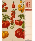 Wall calendar Culinarium - Wochenplaner Kalender 2022