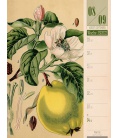 Nástěnný kalendář Culinarium - týdenní plánovač / Culinarium - Wochenplaner Kalender 2022