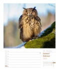 Nástěnný kalendář Krásy lesa - týdenní plánovač / Unser Wald - Wochenplaner Kalender 2022