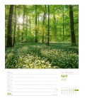 Nástěnný kalendář Krásy lesa - týdenní plánovač / Unser Wald - Wochenplaner Kalender 2022