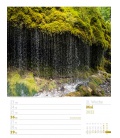 Wandkalender Unser Wald - Wochenplaner Kalender 2022