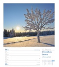 Wall calendar Unser Wald - Wochenplaner Kalender 2022