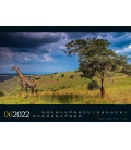 Wall calendar Tierwelt Afrika Kalender 2022