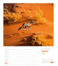 Nástěnný kalendář Sny o cestování - týdenní plánovač / Reiseträume - Wochenplaner Kalender