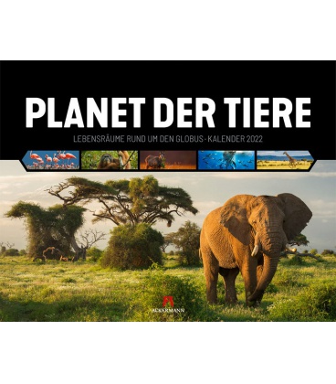 Nástěnný kalendář Planeta zvířat / Planet der Tiere Kalender 2022