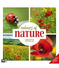 Wall calendar Colours of Nature Kalender 2022
