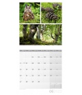 Wall calendar Colours of Nature Kalender 2022
