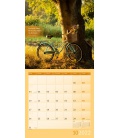 Wandkalender Momente für Dich Kalender 2022