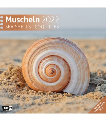 Nástěnný kalendář Mořské mušle / Muscheln Kalender 2022