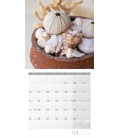 Nástěnný kalendář Mořské mušle / Muscheln Kalender 2022